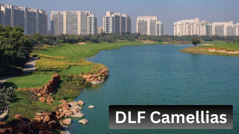 DLF Camellias: A Timeless Legacy by DLF