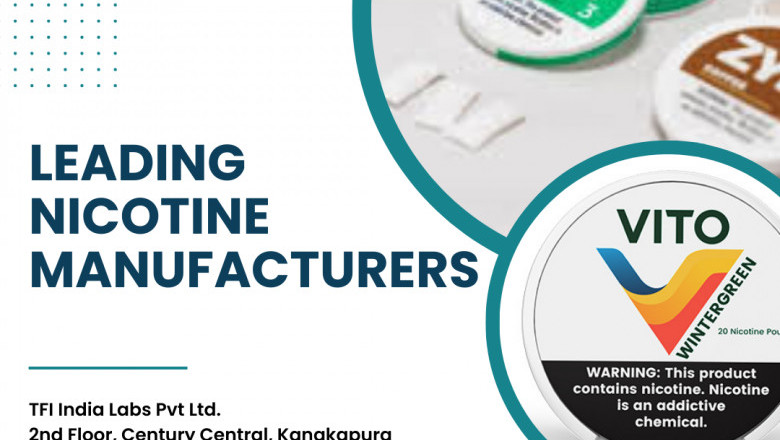 Nicotine Pouch Manufacturer in India