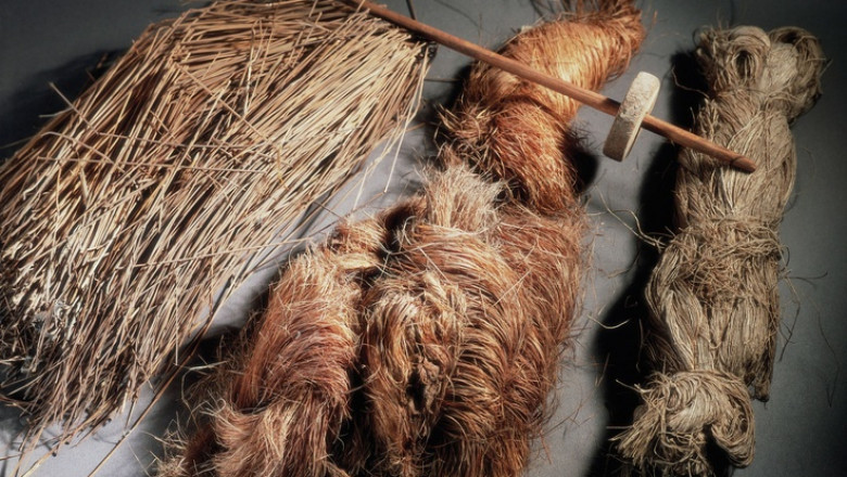 Plant Based Textile Fibres Market Expected to Witness Steady Growth Owing to Environmental Awareness Initiatives