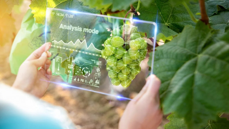 Smart Agriculture Solution Market Impacting Factors Shaping Growth and Adoption in Global Farming Sector