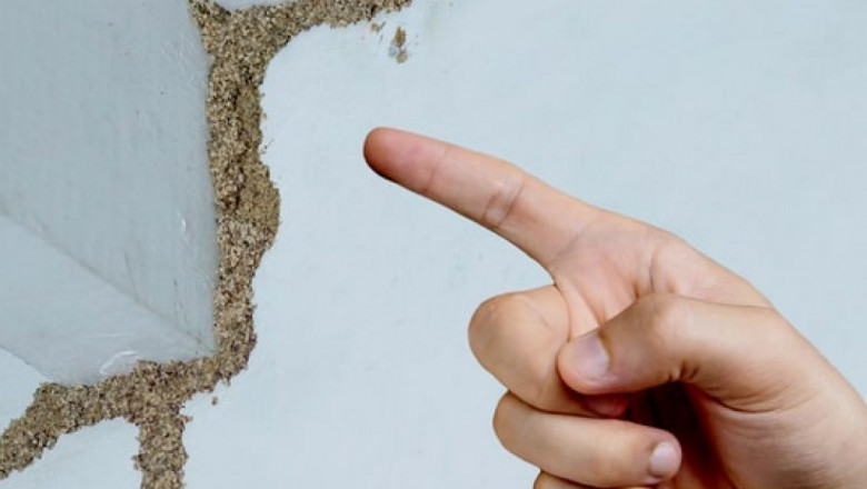 Termite Inspection How to Spot the Warning Signs Before Its Too Late