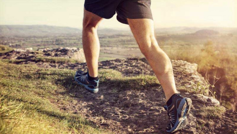 Trail Running Shoes Market Expansion Driven by Rising Outdoor Activity Participation Worldwide