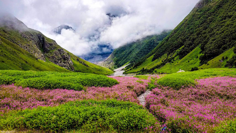 🌸 Valley of Flowers Trek – Discover India’s Most Beautiful Hidden Valley