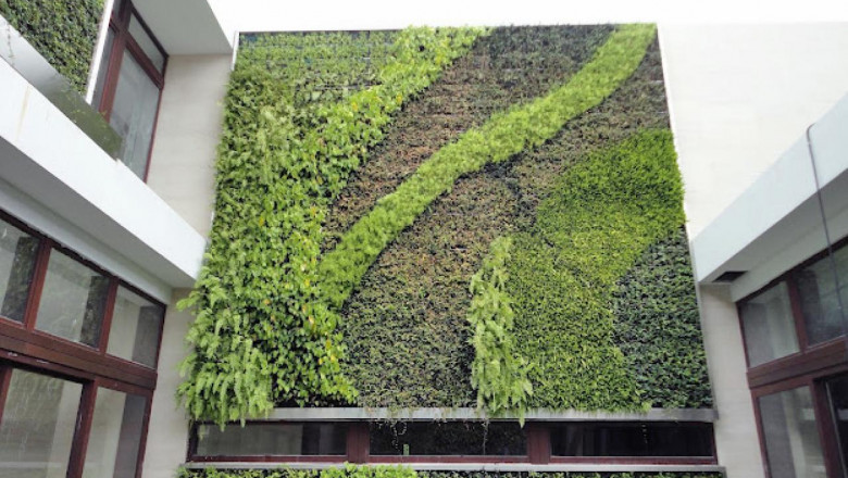 Vertical Garden Construction Market to Surge with Smart Hydroponic Technology