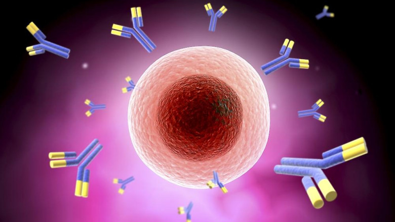 Global Complement Inhibitors Market to Witness Growth Owing to Monoclonal Antibody Therapies
