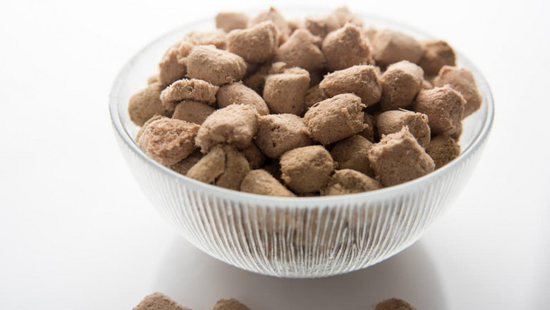 Pet Food Palatants Market Insights: How Pet Owners’ Expectations Are Driving Innovation in Flavor Technologies