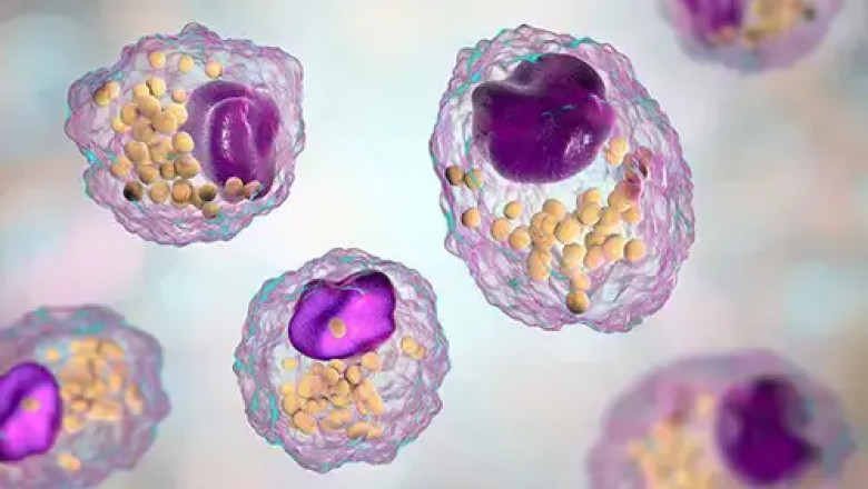 The Comprehensive Guide to Targeted and Untargeted Lipidomics Services