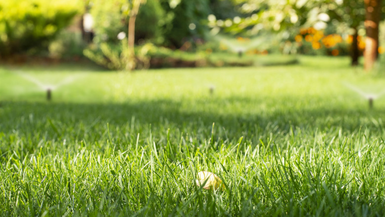Allow DreamLawn to Manage Every Tiny and Massive Lawn Care Responsibility