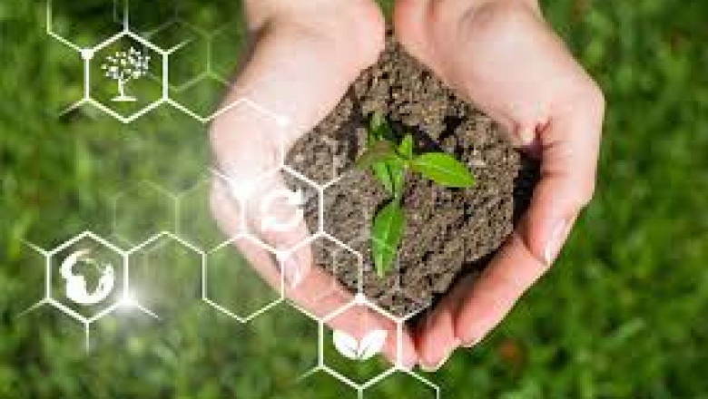 Biostimulants Market Witnesses Growth as Innovation Becomes a Key Impacting
