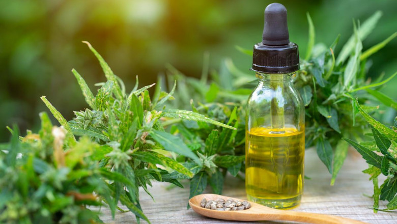 CBD Oil Market Forecast Highlights Regulatory Impact and Emerging Consumer Preferences