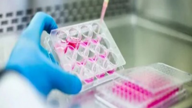 Cell Culture Market to Soar on 3D Bioprinting Advances