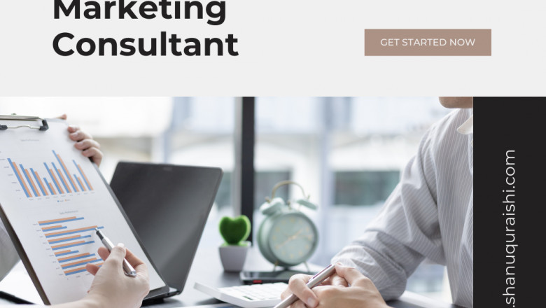 Digital Marketing Consultant in Delhi NCR, Trainer, Freelancer