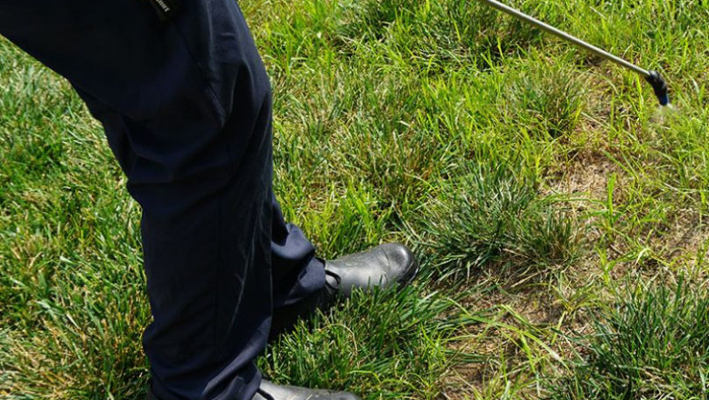 DreamLawn: Expert Sprinkler Repair Services in Overland Park Kansas