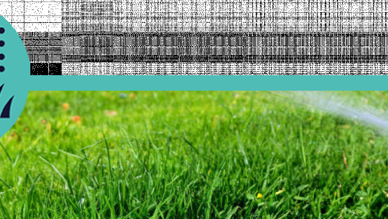 DreamLawn: Providing Exceptional Lawn Care and Maintenance Service in Kansas