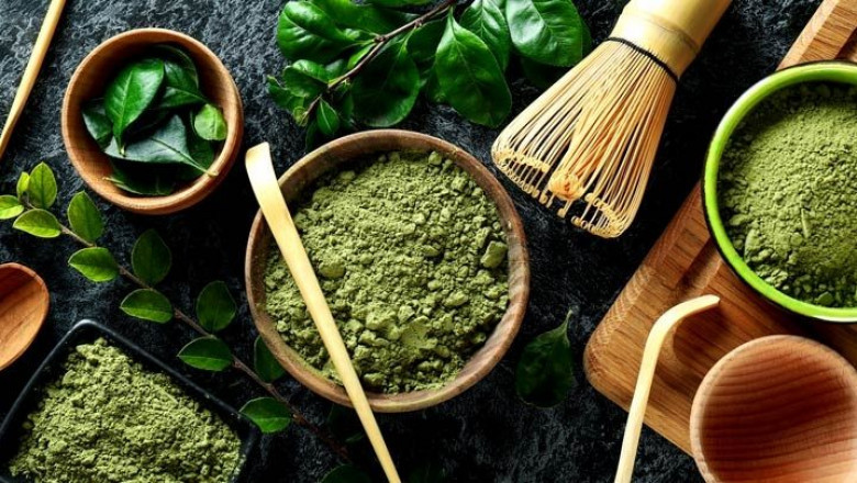 Rising Demand for EGCG: Market Trends, Innovations, and Key Players