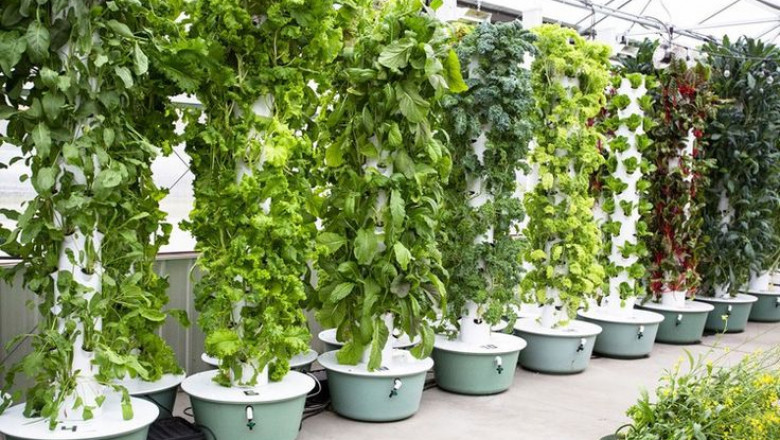 Aeroponics Market Impacting Dynamics Shaping Sustainable Agriculture and Transforming Food Production Globally