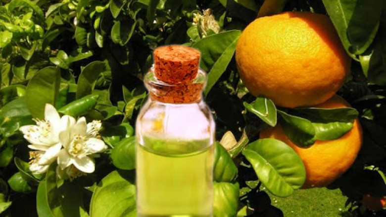 Bergamot Oil Market Poised for Expansion with Rising Consumer Awareness of Natural Remedies
