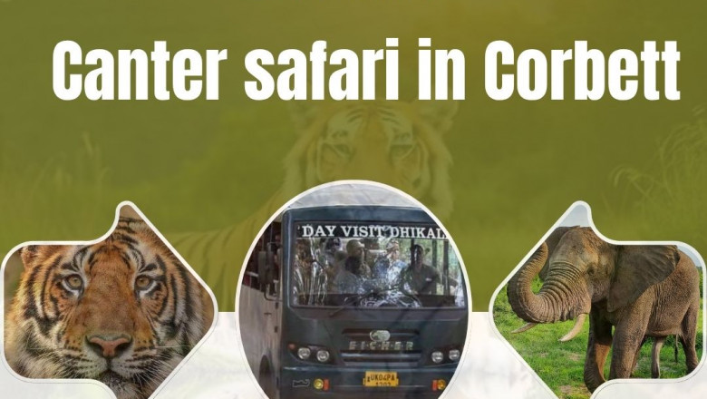 Discover the Wild Side - Dhikala Canter Safari in Corbett Tiger Reserve
