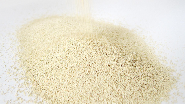 Dry Yeast Market in Europe: Demand Surge and Growth Forecast