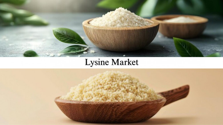 Lysine Market Size, Share, Market Insights and Projections by 2032
