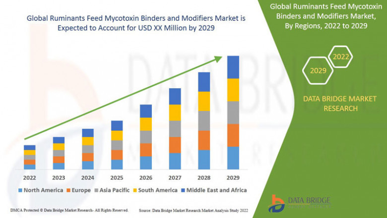 Ruminants Feed Mycotoxin Binders and Modifiers Market Size, Share, Trends, Key Drivers, Growth Opportunities and Competitive Outlook