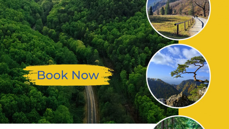 Best Corporate Tour Packages for Team Adventures