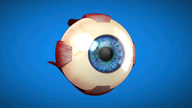 Best Retina Hospital in East Delhi – Shreya Eye Centre