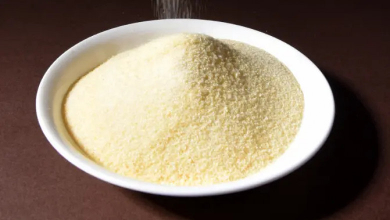 Bovine Gelatin Market Growth Driven by Nutraceutical Demand