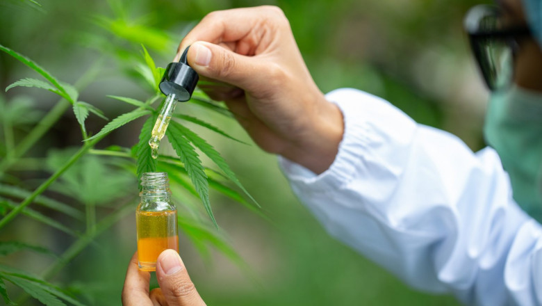 Cannabis Use Disorder Market to Grow via Digital Therapeutics