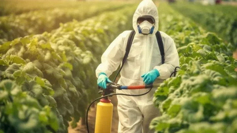 Chemical Fungicides Market to Grow on Enhanced Crop Protection