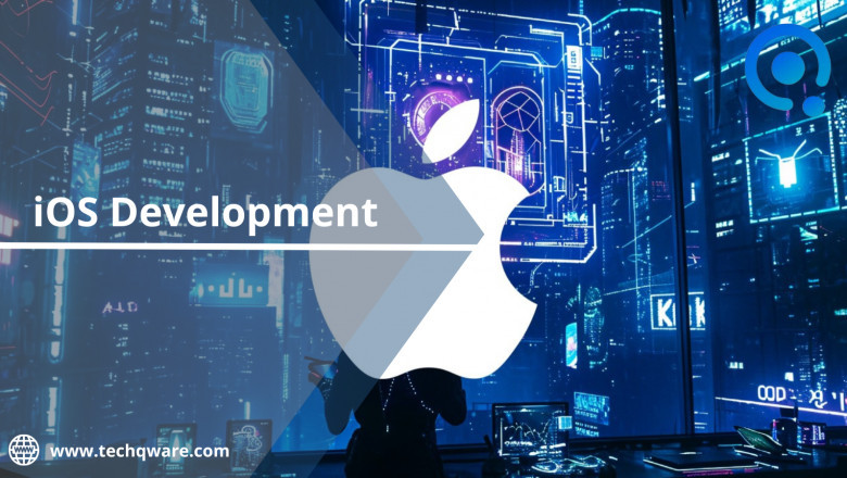 iOS Development Company - Industry Overview in India 2025