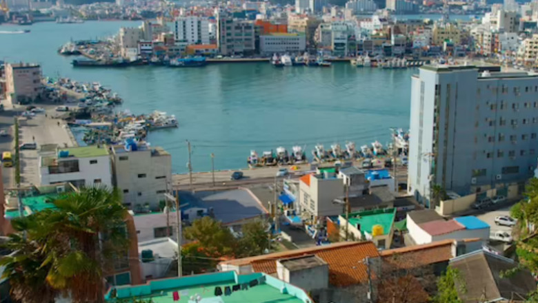 Join the Bubi Movement: Busan’s Interactive Local Lounge
