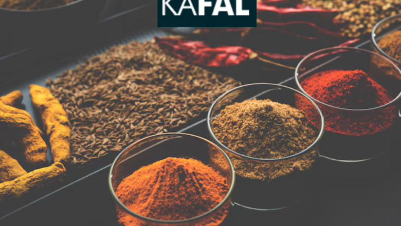Kafal Spices – The Trusted Spices Supplier in India for Quality and Authenticity