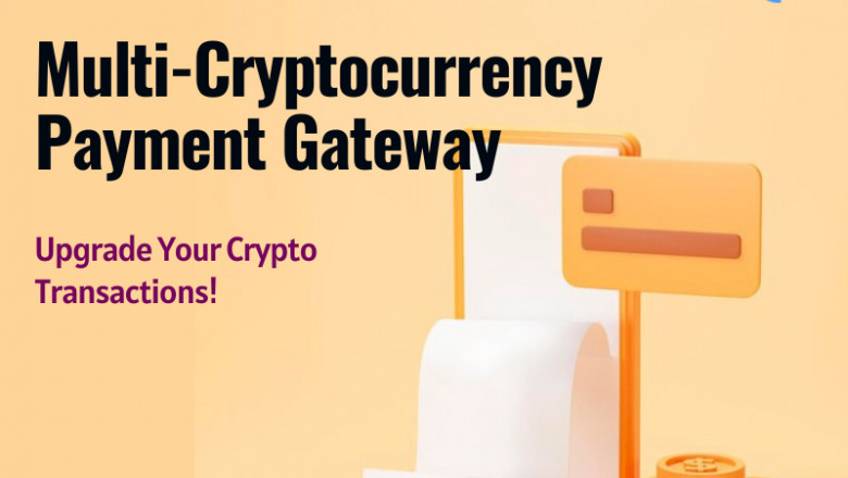 Multi Cryptocurrency Payment Gateway development for Business