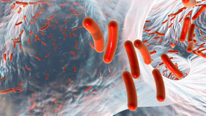 Pseudomonas Aeruginosa Infection Market Set to Surge with Rapid Molecular Diagnostics