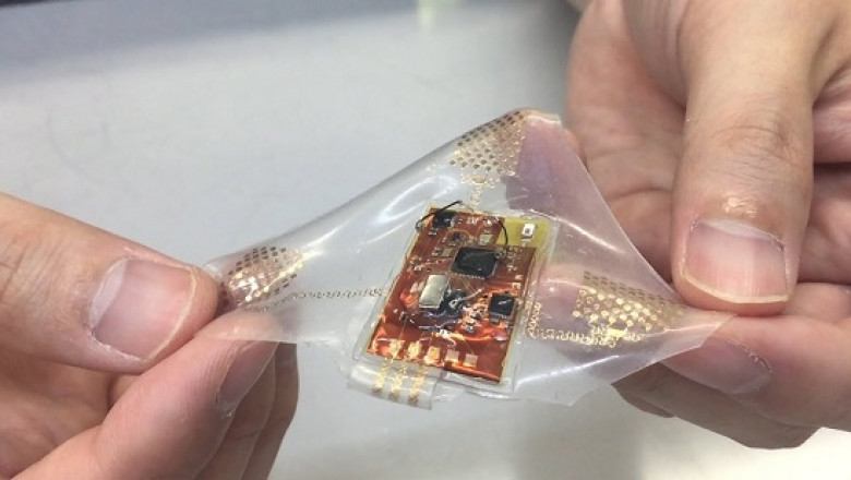 Stretchable Electronics Market Size, Share, &amp; Trends Analysis by 2031