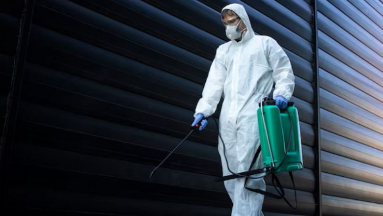 Which Pest Control Method Is Right for Your Home?