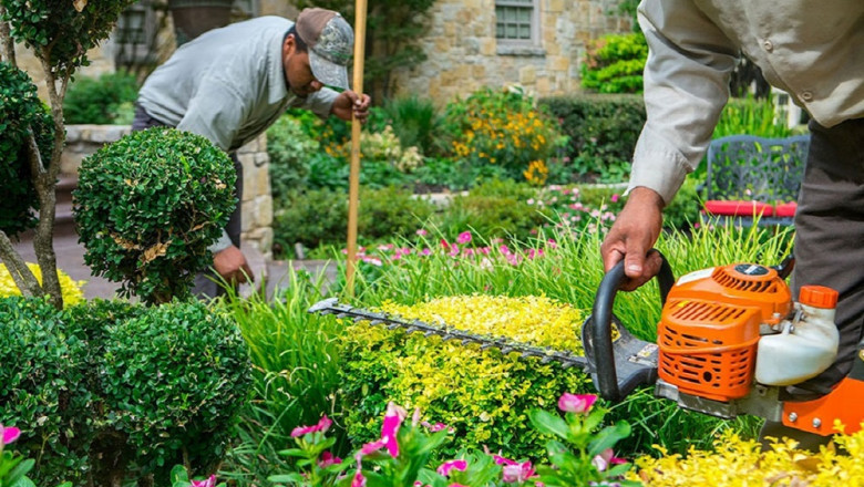 Why Affordable Lawn Maintenance with Great Dane Landscaping Is a Game Changer for Property Owners