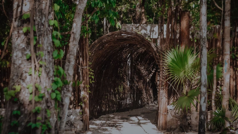 Escape to Paradise: Why Lunita Jungle Retreat is the Ultimate Wellness Getaway in Mexico