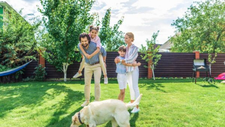 Keep Your Yard Clean with Professional Pooper Scoopers and Poop Cleaning Services in Kalamazoo, MI