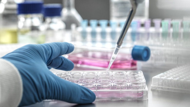 Viral Vaccine Cell Culture Media Market to Expand with Rising Biopharma Demand