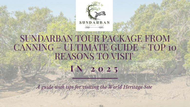 Discover the Wild Side of Bengal: Sundarban Tour Package from Canning