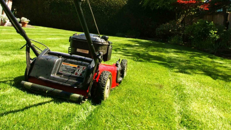 Lawn Care in Vertical Cities: Rooftop and Balcony Gardening Trends in China Lawn Care Market