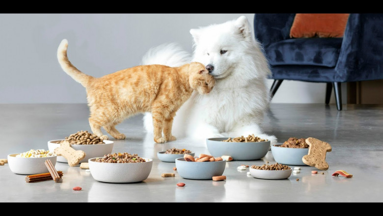 Animal Nutrition Market Forecast: Asia-Pacific Region Expected to Lead Growth Due to Increasing Livestock Farming