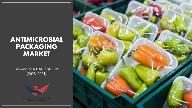 Antimicrobial Packaging Market Size, Share, Growth Report 2031