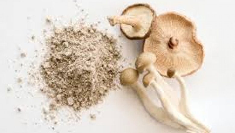 Mushroom Extract Market Consumer Insights Reveal Preference for Dual-Extracts Over Single-Ingredient Supplements
