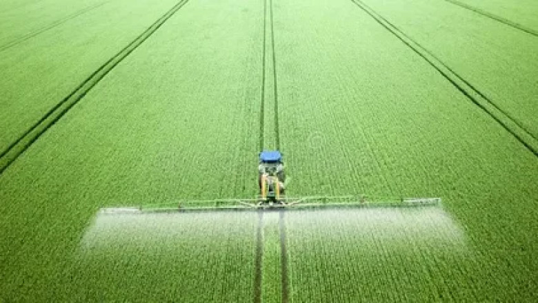 Water-Soluble Fertilizers Market Report: Unlocking Growth Potential and Tackling Emerging Challenges
