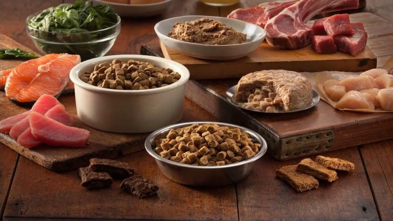 Wet Pet Food Market to Surge Due to Premiumization Trends