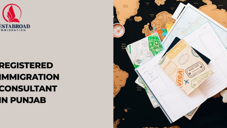 Why You Need a Registered Immigration Consultant in Punjab for a Hassle-Free Immigration Process?