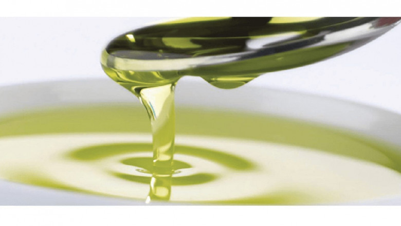 Algae Oil Market: Key Factors Driving Growth and Challenges Impacting Global Expansion and Adoption